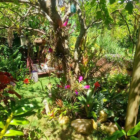 Apartmán Casa De Vidro Petrópolis Exteriér fotografie