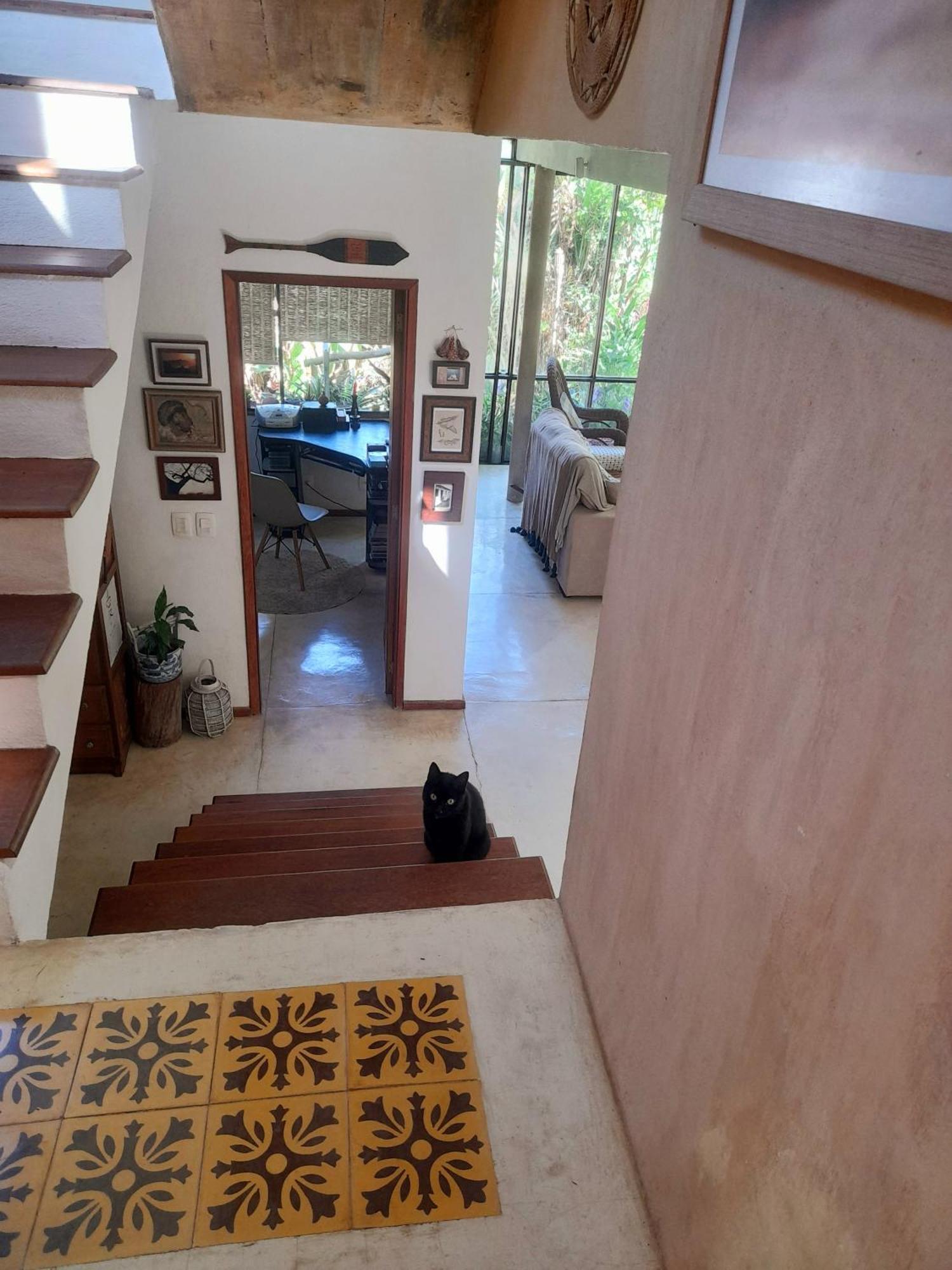 Apartmán Casa De Vidro Petrópolis Exteriér fotografie