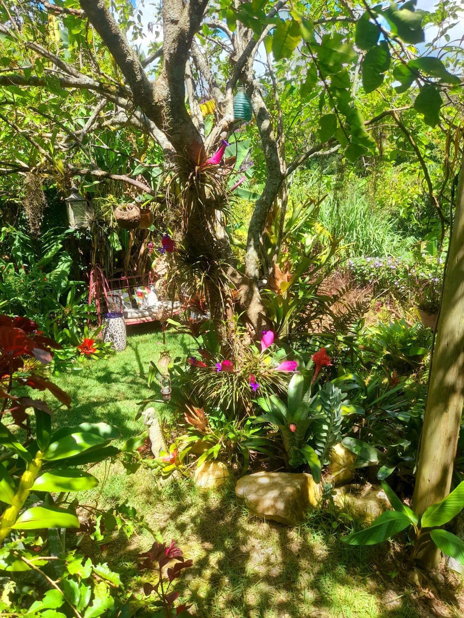 Apartmán Casa De Vidro Petrópolis Exteriér fotografie