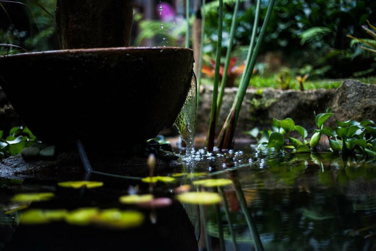 Apartmán Casa De Vidro Petrópolis Exteriér fotografie