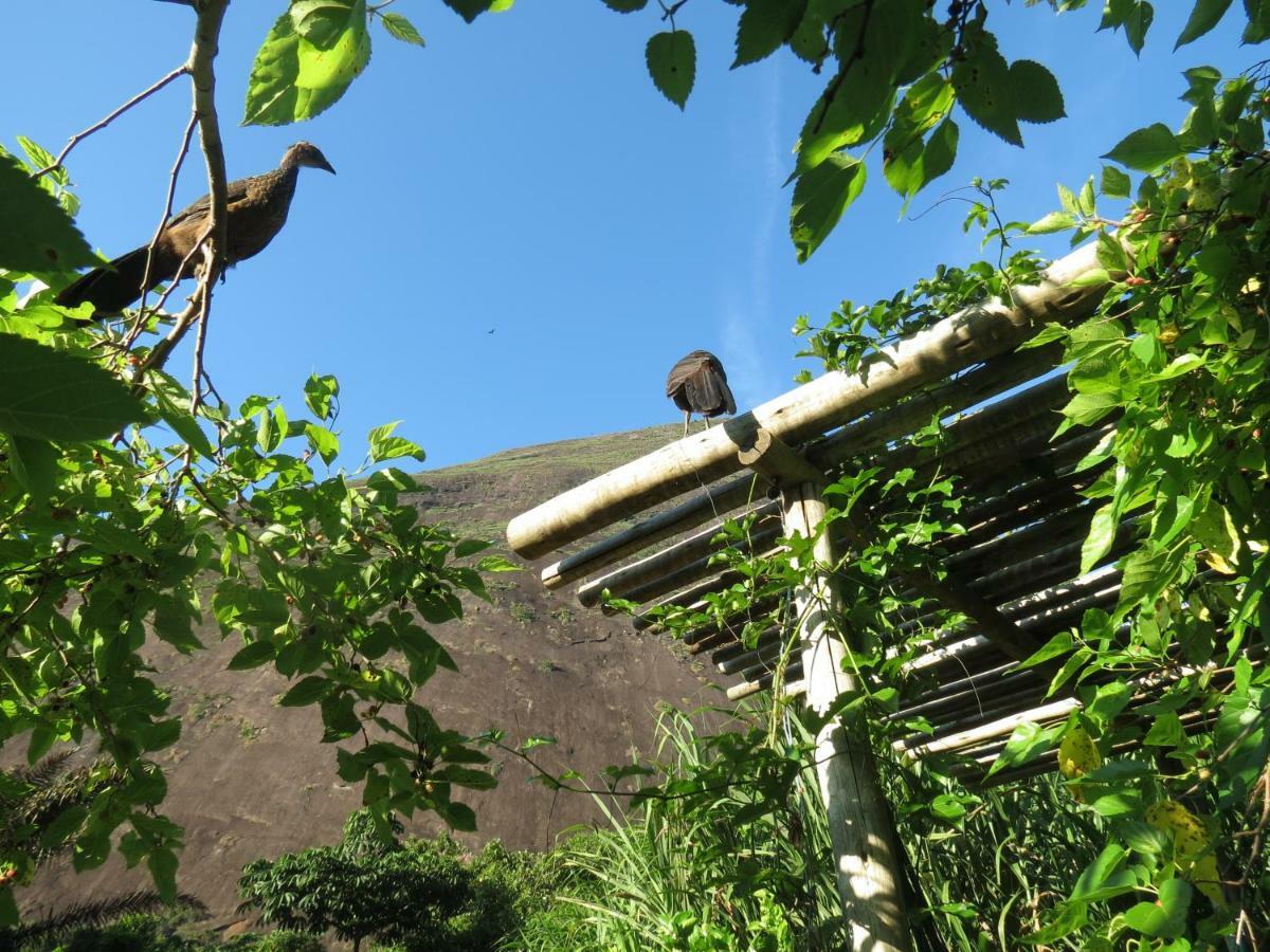 Apartmán Casa De Vidro Petrópolis Exteriér fotografie